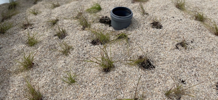 Forschung und Innovation rund ums Grundwasser