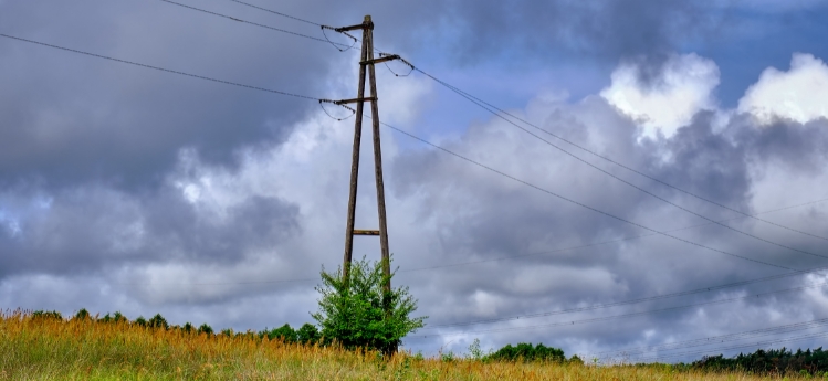 GRILLO zinc foil for the permanent protection of wooden poles