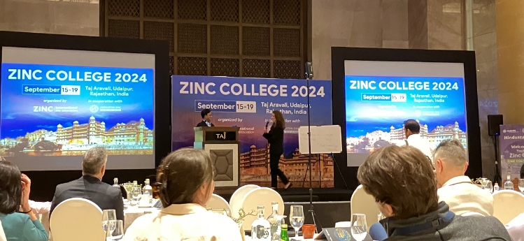 Focus on the value chain: Zinc College in India